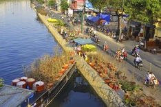 Canals coloured with flowers