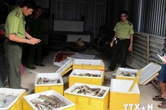 ASEAN works to protect rare flora, fauna