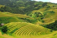 Tourists flock to Sa Pa villages