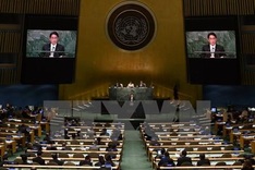 Vietnam vows strict observance of nuclear weapon non-proliferation treaty
