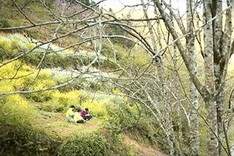 Amateur movie makers draw attention to Vietnam's north-west