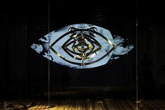 What's on July 24-30 (Daily updated)