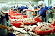 US delays anti-dumping tax review on Vietnam's tra exports