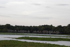 Primitive beauty in Tra Loc Lagoon