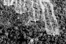 Agent Orange's lethal legacy: Defoliants more dangerous than they had to be