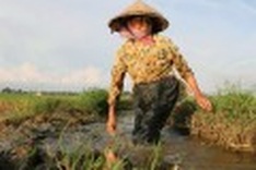 Agent Orange: Birth defects plague Vietnam; U.S. slow to help