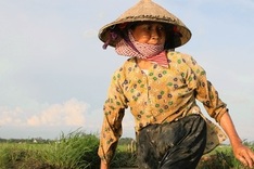 Agent Orange: Congenital deformities plague Vietnam; U.S. slow to help