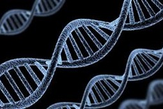 Vietnamese scientists announce ground breaking gene research