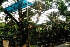 More wildlife rescue station built