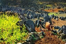 Development for Karst Plateau Park in Ha Giang announced