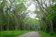 First national wildlife park to be built in Ninh Binh