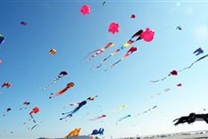 International kite festival kicks off in Quang Nam