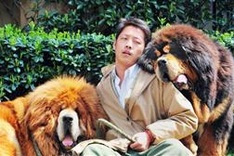 Dog 'sold for $2 million' in China