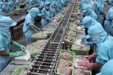 Debt trading firm to help settle Bianfishco’s debts