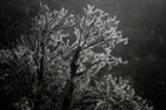 Vietnam’s highest mountain pass frozen in photos