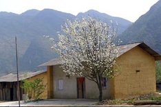 Vietnam's northern highlands present a winter showcase