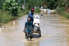 Vietnam responds to International Day for Disaster Reduction