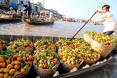Can Tho targets 1.2 million arrivals in 2013