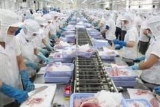 57 Vietnamese businesses allowed to export Pangasius to US
