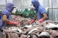 VASEP opposes US tra fish anti-dumping decision