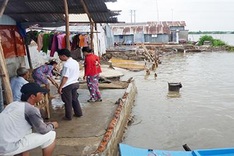 Ca Mau sees land depression due to underground water exploitation