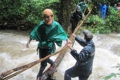 Wildlife trek in jungle offers both challenges and rewards