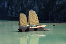 Quang Ninh to end overnight docking in Ha Long Bay