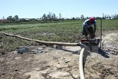 El Nino will cause severe heatwave this summer