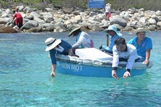 Fish and sea cucumbers released in Nha Trang Bay