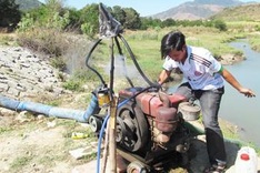 Drought forces south-central provinces to halt crop cultivation