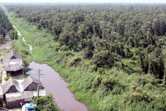 Delta farmers prepared for forest fires