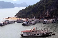 Chemical plant turned down due to Ha Long Bay environmental risks