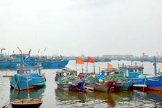 Vietnam to focus on economic development of sea, islands