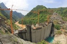 EVN replants trees in more than 12000ha