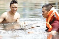 Vietnamese film sparks animal rights debate