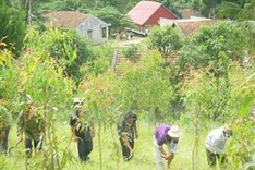 Biodiversity conservation project green-lighted