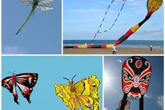 International kite festival comes to Ecopark
