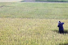 20pct reduction in greenhouse gas emissions to be targeted