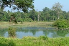 Land reclaimed for afforestation