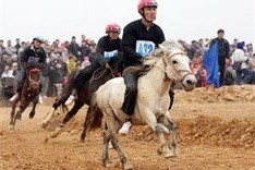 $1.5 billion horse racecourse galloping towards victory