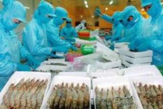 US imposes anti-subsidy tariff on Vietnamese frozen shrimp