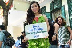 Lettuce dress promotes vegetarianism
