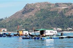 Funds allocated to preserve Lý Sơn Marine Protected Area
