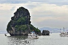 Authorities reinforce management of bays