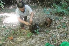 Pu Mat National Park re-releases rare animals