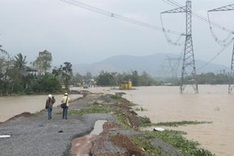 Ministry prioritises afforestation projects