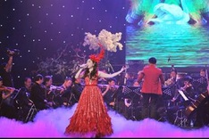 Live performances lose out to screens as fans go digital