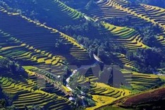 Northern Vietnam named Forbes’ cheapest travel place