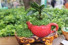 IMF: Greener growth could reduce climate change risks