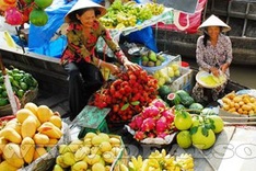 Green tourism week to be held in Can Tho City